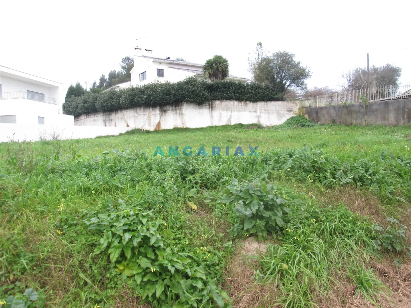 Terreno Urbano T0 - Colmeias, Leiria, Leiria - Miniatura: 6/9