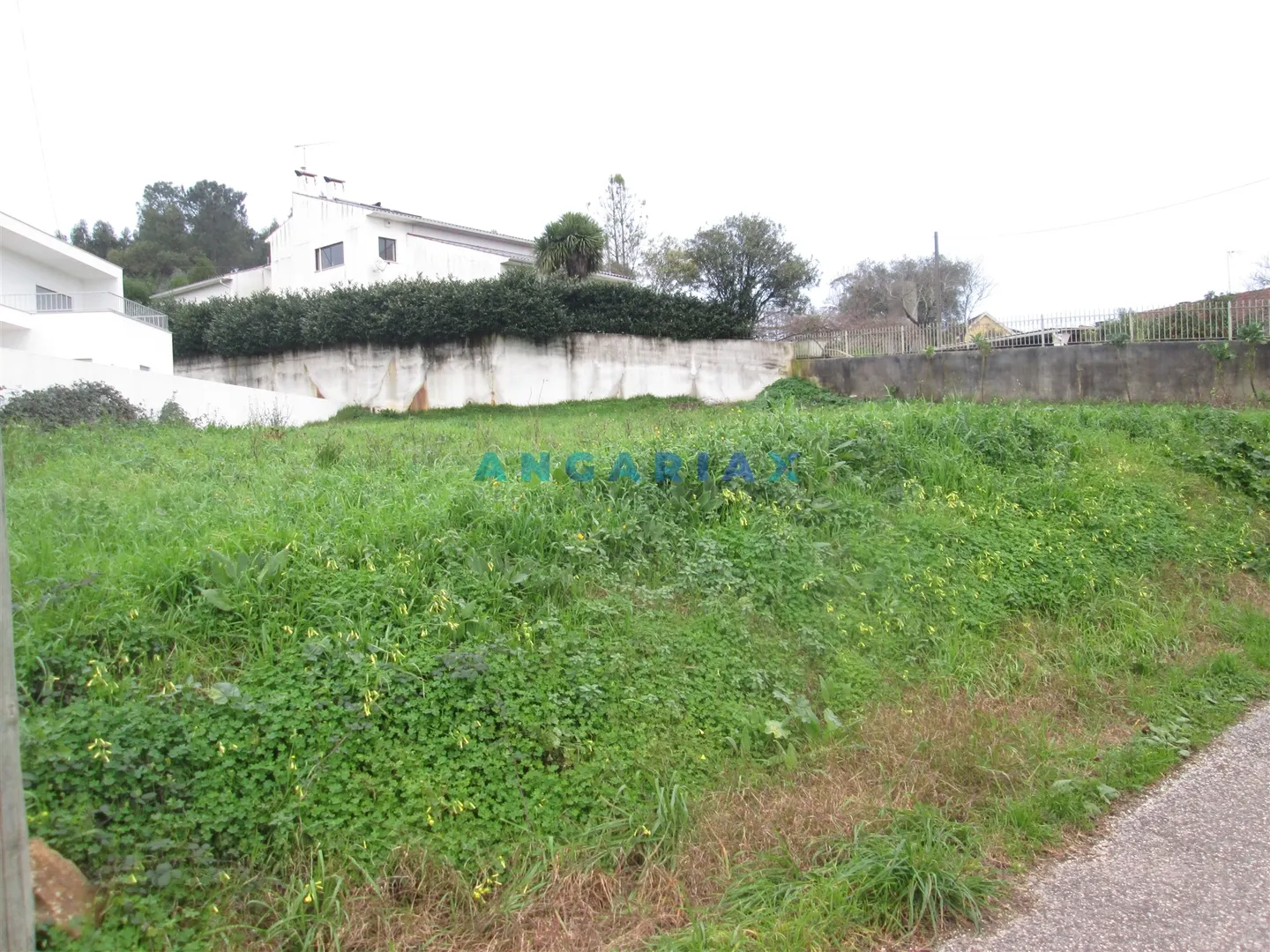 Terreno Urbano T0 - Colmeias, Leiria, Leiria - Miniatura: 7/9