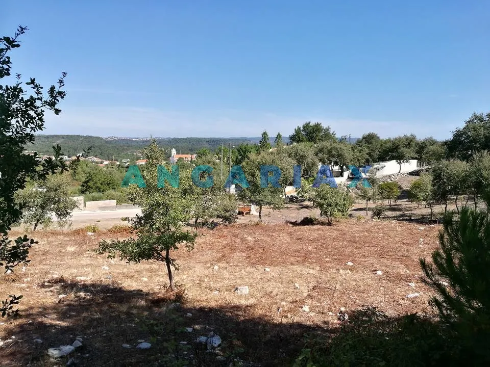 Terreno Urbano T0 - Arrabal, Leiria, Leiria - Miniatura: 4/9