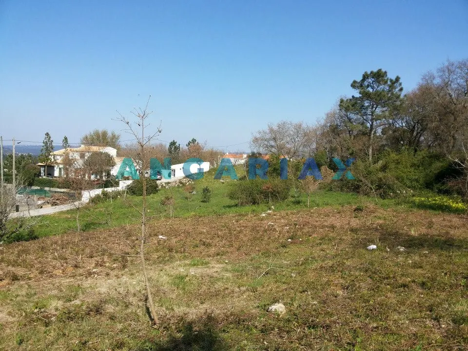 Terreno Urbano T0 - Arrabal, Leiria, Leiria - Miniatura: 9/9