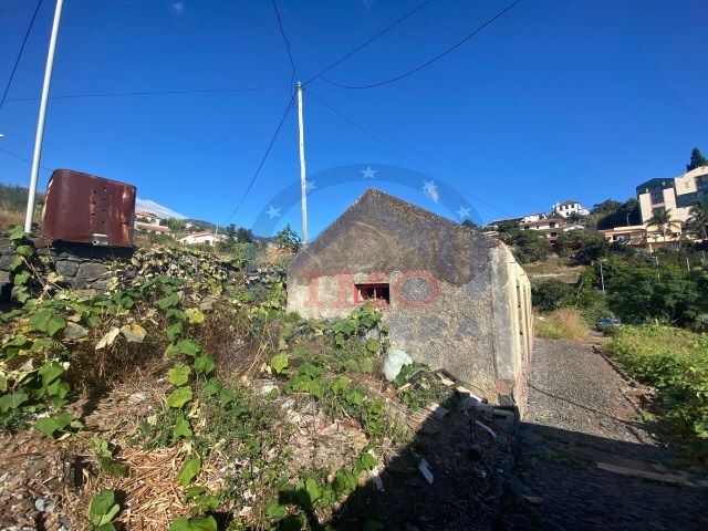 Terreno R�stico - S�o Roque, Funchal, Ilha da Madeira - Imagem grande