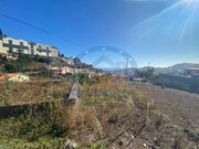 Terreno R�stico - S�o Roque, Funchal, Ilha da Madeira - Miniatura: 2/8