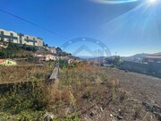 Terreno R�stico - S�o Roque, Funchal, Ilha da Madeira - Miniatura: 5/8