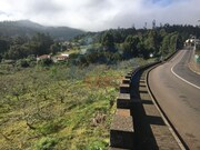Terreno Rstico - Santo Antnio da Serra, Santa Cruz, Ilha da Madeira - Miniatura: 5/8