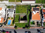 Terreno R�stico - S�o Martinho, Funchal, Ilha da Madeira - Miniatura: 1/5