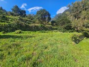 Terreno R�stico - S�o Vicente, S�o Vicente, Ilha da Madeira - Miniatura: 3/9