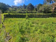 Terreno R�stico - S�o Vicente, S�o Vicente, Ilha da Madeira - Miniatura: 4/9