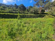 Terreno R�stico - S�o Vicente, S�o Vicente, Ilha da Madeira - Miniatura: 6/9