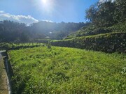 Terreno R�stico - S�o Vicente, S�o Vicente, Ilha da Madeira - Miniatura: 7/9