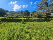 Terreno R�stico - S�o Vicente, S�o Vicente, Ilha da Madeira - Miniatura: 8/9