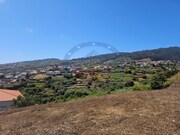 Terreno R�stico - Calheta (Madeira), Calheta (Madeira), Ilha da Madeira - Miniatura: 1/8