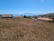 Terreno R�stico - Calheta (Madeira), Calheta (Madeira), Ilha da Madeira - Miniatura: 3/8