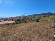 Terreno R�stico - Calheta (Madeira), Calheta (Madeira), Ilha da Madeira - Miniatura: 4/8
