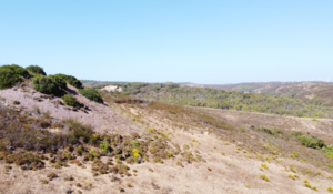 Terreno R�stico T0 - Budens, Vila do Bispo, Faro (Algarve) - Miniatura: 19/27