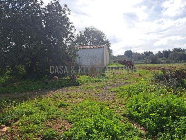 Terreno R�stico T0 - S�o Bartolomeu de Messines, Silves, Faro (Algarve) - Imagem grande