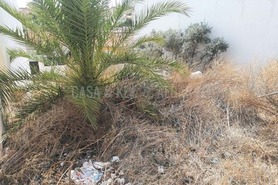 Terreno Rstico T0 - Lagoa, Lagoa (Algarve), Faro (Algarve) - Miniatura: 4/8