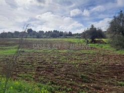 Terreno R�stico T0 - S�o Bartolomeu de Messines, Silves, Faro (Algarve) - Miniatura: 1/19