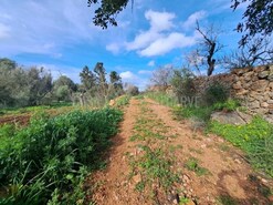 Terreno R�stico T0 - S�o Bartolomeu de Messines, Silves, Faro (Algarve) - Miniatura: 2/19