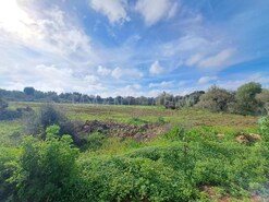 Terreno R�stico T0 - S�o Bartolomeu de Messines, Silves, Faro (Algarve) - Miniatura: 3/19