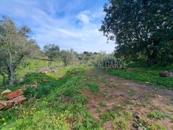 Terreno R�stico T0 - S�o Bartolomeu de Messines, Silves, Faro (Algarve) - Miniatura: 4/19