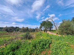Terreno R�stico T0 - S�o Bartolomeu de Messines, Silves, Faro (Algarve) - Miniatura: 5/19