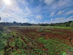 Terreno R�stico T0 - S�o Bartolomeu de Messines, Silves, Faro (Algarve) - Miniatura: 7/19