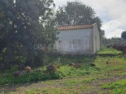 Terreno R�stico T0 - S�o Bartolomeu de Messines, Silves, Faro (Algarve) - Miniatura: 16/19