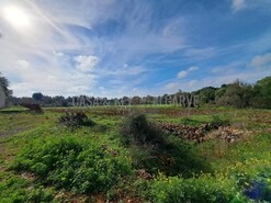 Terreno R�stico T0 - S�o Bartolomeu de Messines, Silves, Faro (Algarve) - Miniatura: 17/19