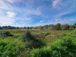 Terreno R�stico T0 - S�o Bartolomeu de Messines, Silves, Faro (Algarve) - Miniatura: 18/19
