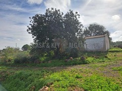 Terreno R�stico T0 - S�o Bartolomeu de Messines, Silves, Faro (Algarve) - Miniatura: 19/19