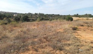 Terreno Rstico T0 - Estombar, Lagoa (Algarve), Faro (Algarve) - Miniatura: 5/11