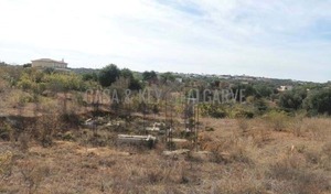 Terreno Rstico T0 - Estombar, Lagoa (Algarve), Faro (Algarve) - Miniatura: 7/11