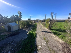 Terreno R�stico - Palhais, Barreiro, Set�bal - Miniatura: 13/18