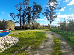 Moradia - Aveiras de Baixo, Azambuja, Lisboa - Miniatura: 54/58