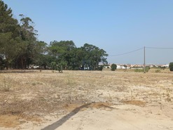 Terreno Rstico T0 - Afonsoeiro, Montijo, Setbal - Miniatura: 4/4