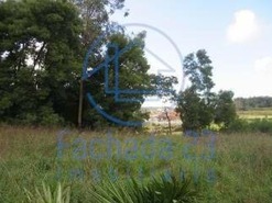Terreno R�stico T0 - Gondomar, Gondomar, Porto - Miniatura: 1/5