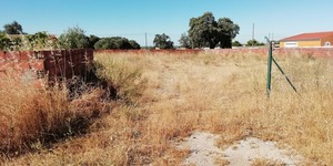 Terreno Rstico T0 - Cano, Sousel, Portalegre - Miniatura: 6/6