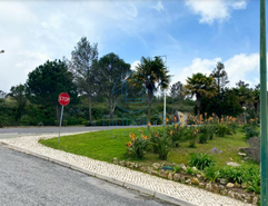Terreno R�stico T0 - Belas, Sintra, Lisboa - Miniatura: 2/17