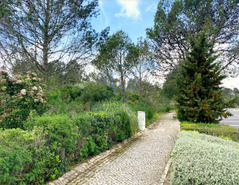 Terreno R�stico T0 - Belas, Sintra, Lisboa - Miniatura: 4/17