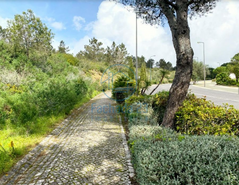 Terreno R�stico T0 - Belas, Sintra, Lisboa - Miniatura: 6/17