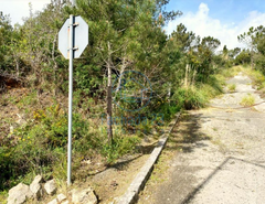 Terreno R�stico T0 - Belas, Sintra, Lisboa - Miniatura: 7/17