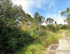 Terreno R�stico T0 - Belas, Sintra, Lisboa - Miniatura: 8/17