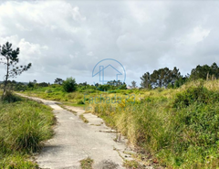 Terreno R�stico T0 - Belas, Sintra, Lisboa - Miniatura: 9/17