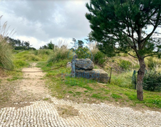 Terreno R�stico T0 - Belas, Sintra, Lisboa - Miniatura: 14/17