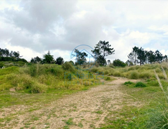 Terreno R�stico T0 - Belas, Sintra, Lisboa - Miniatura: 15/17