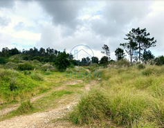 Terreno R�stico T0 - Belas, Sintra, Lisboa - Miniatura: 17/17