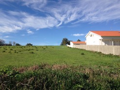 Terreno Rstico T0 - Alfarelos, Soure, Coimbra - Miniatura: 3/8