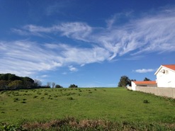 Terreno Rstico T0 - Alfarelos, Soure, Coimbra - Miniatura: 4/8
