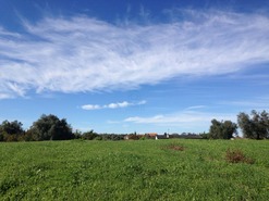 Terreno Rstico T0 - Alfarelos, Soure, Coimbra - Miniatura: 6/8