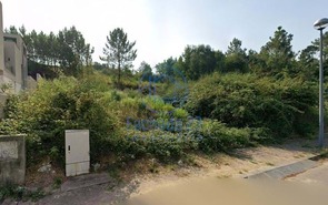 Terreno Rstico T0 - Pinheiro da Bemposta, Oliveira de Azemis, Aveiro - Miniatura: 4/5